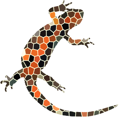 newtfire DH courses mosaic firebelly logo